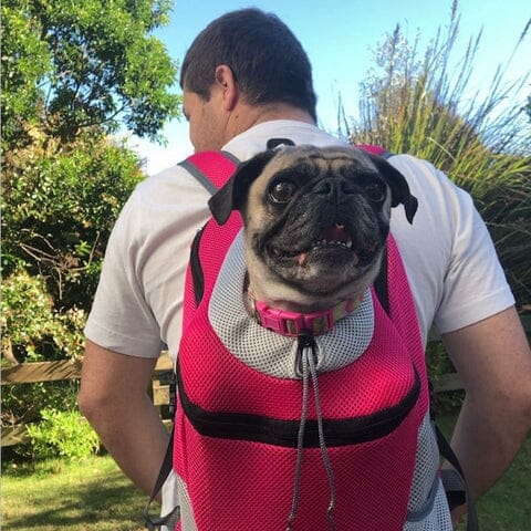 Mochila Canguru para Pets - CanguruPet